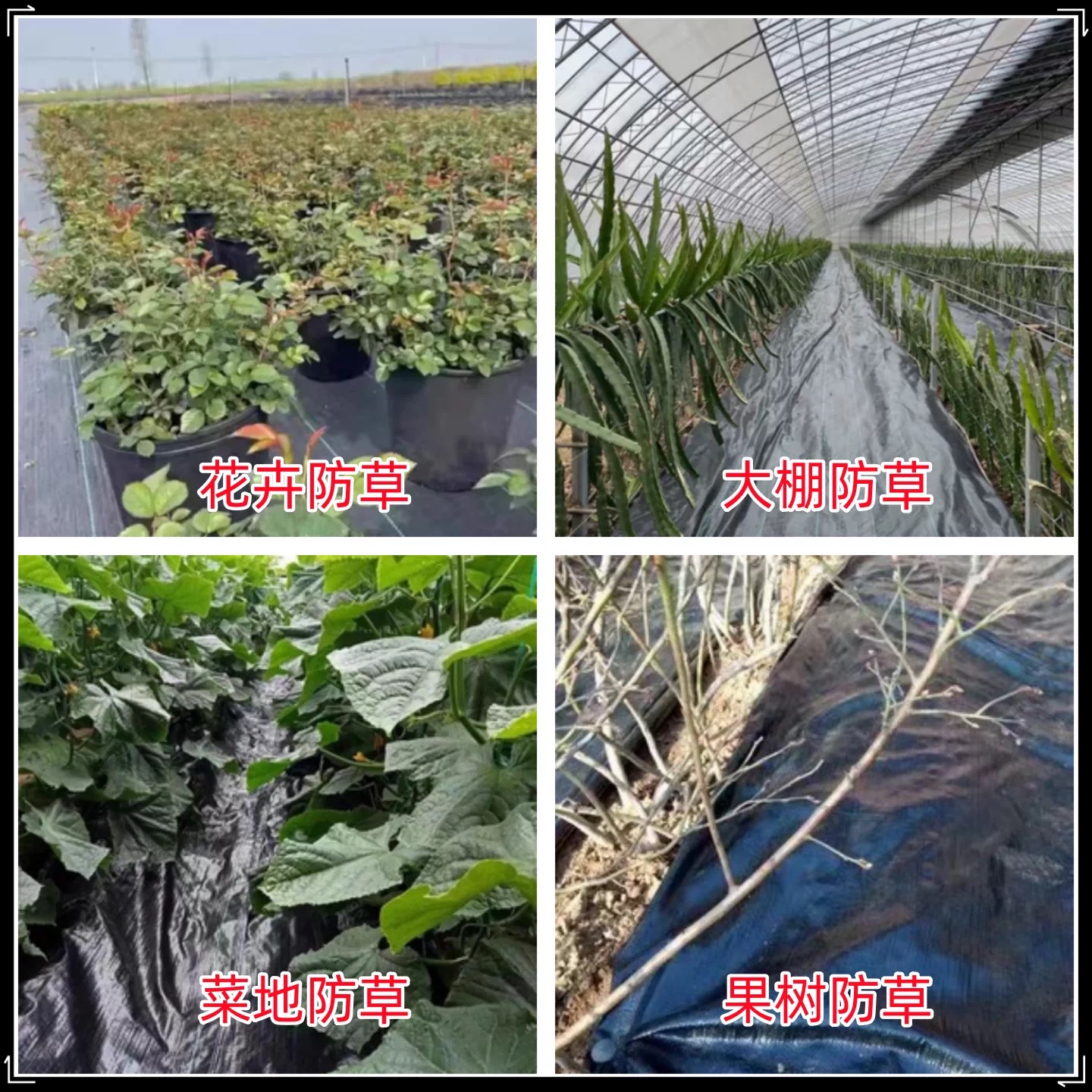 莆田市果树反光膜防草布 - 推荐