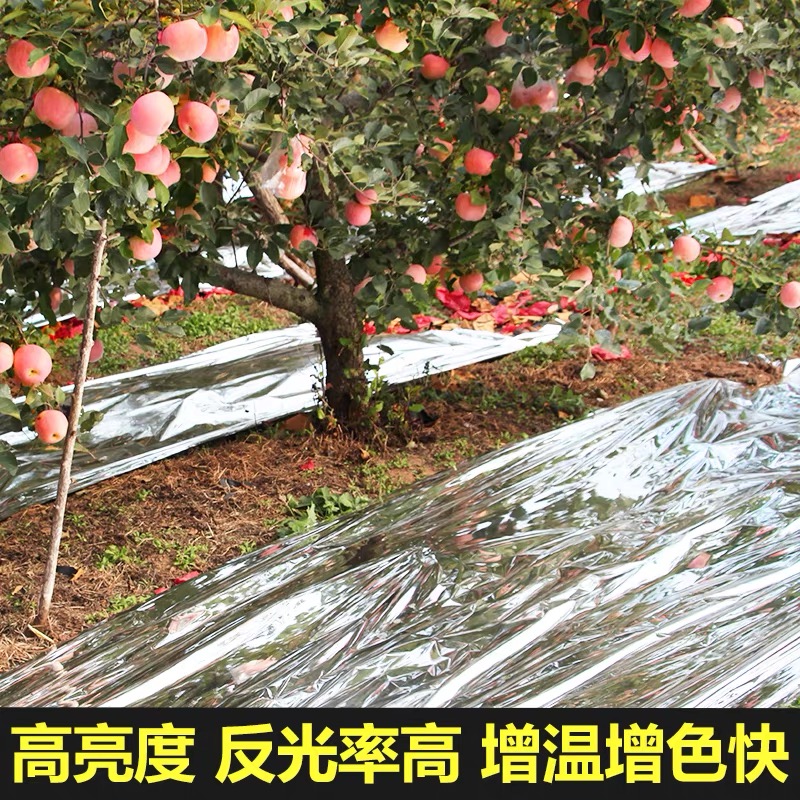 莆田市农用薄膜果树反光膜 - 价格